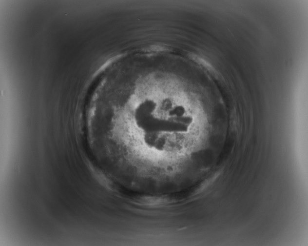 X0000085230351200703301730