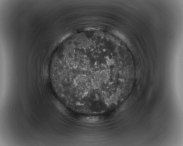 X0000085230353200703301730