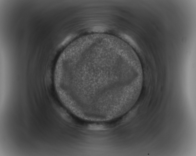 X0000085230354200703301730