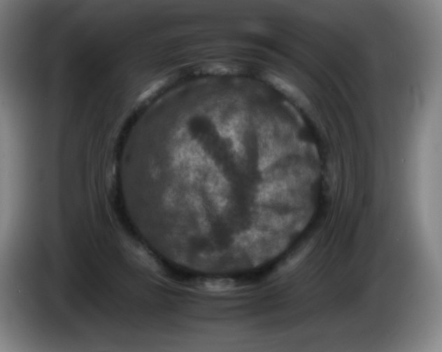 X0000085230355200703301730