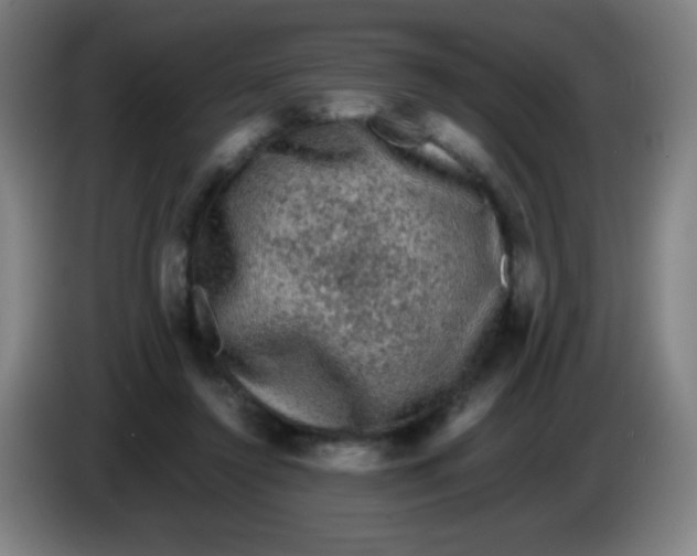 X0000085230356200703301730