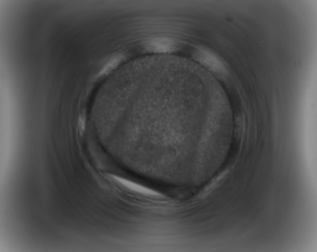 X0000085230358200703301730