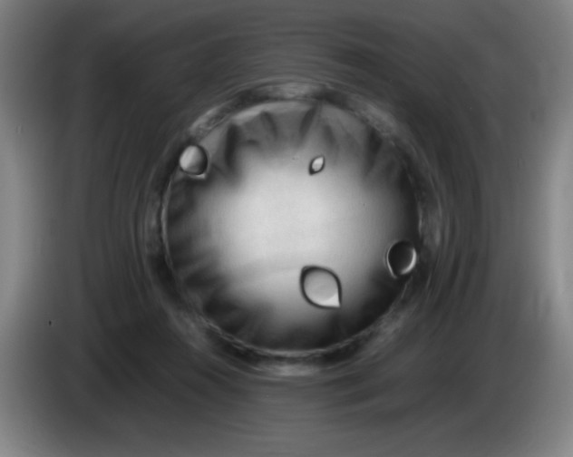X0000085230360200703301730