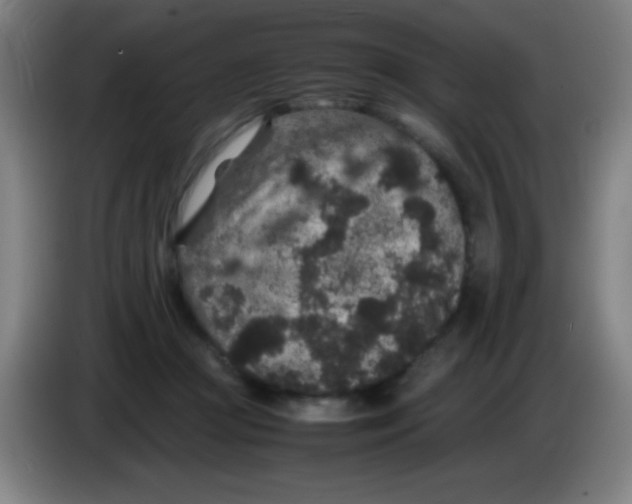 X0000085230361200703301730