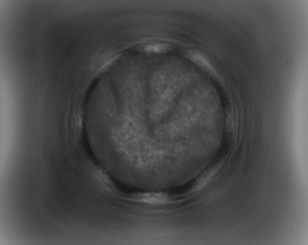 X0000085230363200703301730