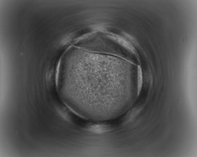 X0000085230364200703301730
