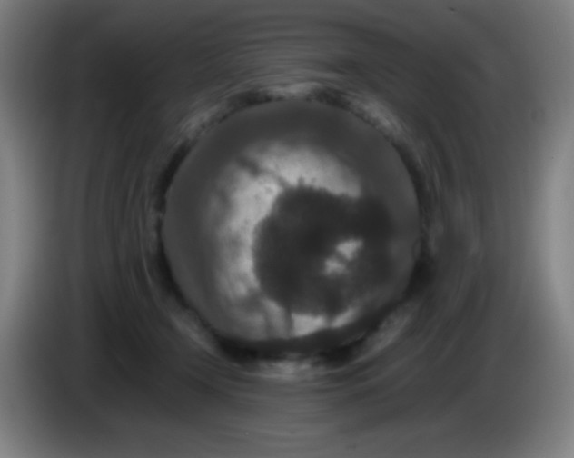 X0000085230366200703301730