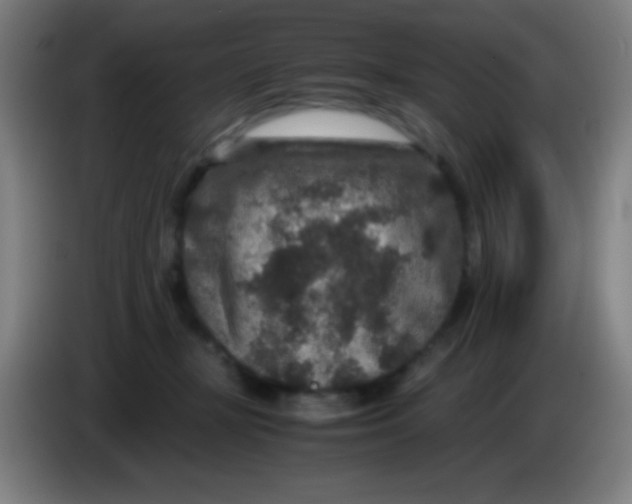 X0000085230367200703301730