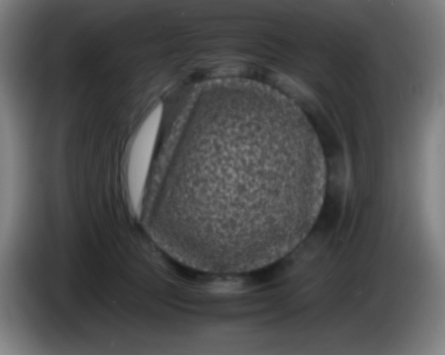 X0000085230369200703301730