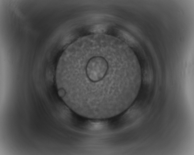 X0000085230370200703301730