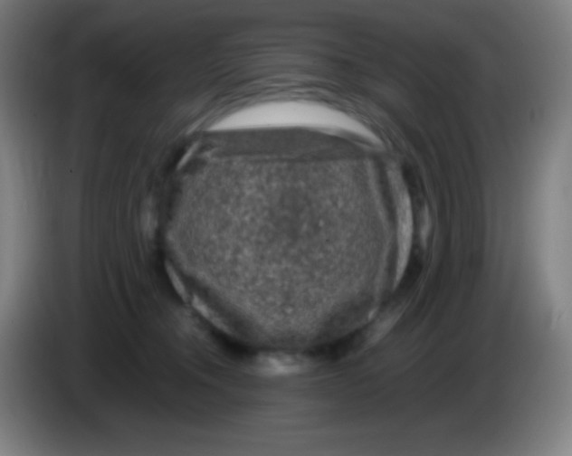 X0000085230372200703301731