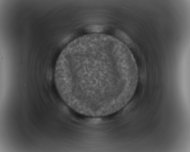 X0000085230374200703301731