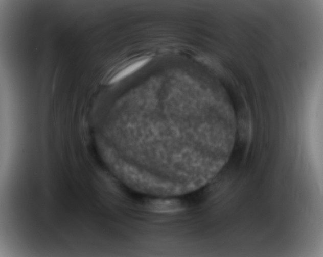 X0000085230375200703301731