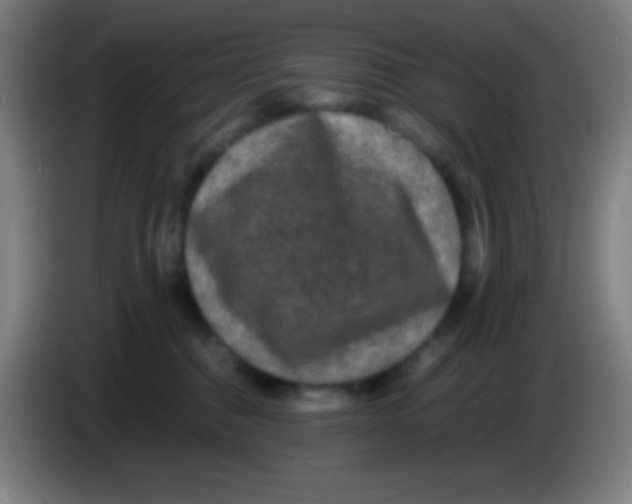 X0000085230376200703301731