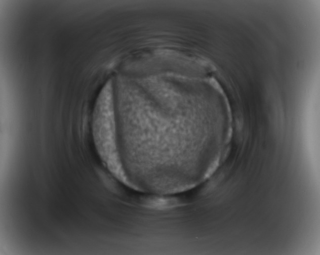 X0000085230379200703301731