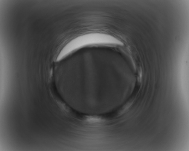 X0000085230380200703301731