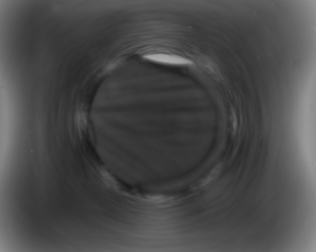X0000085230382200703301731