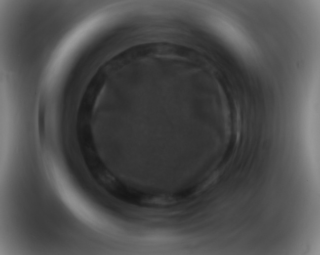 X0000085230383200703301731