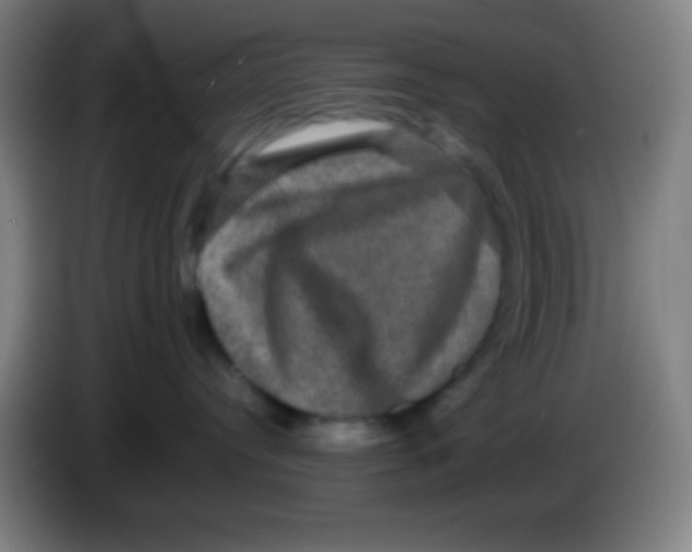 X0000085230384200703301731