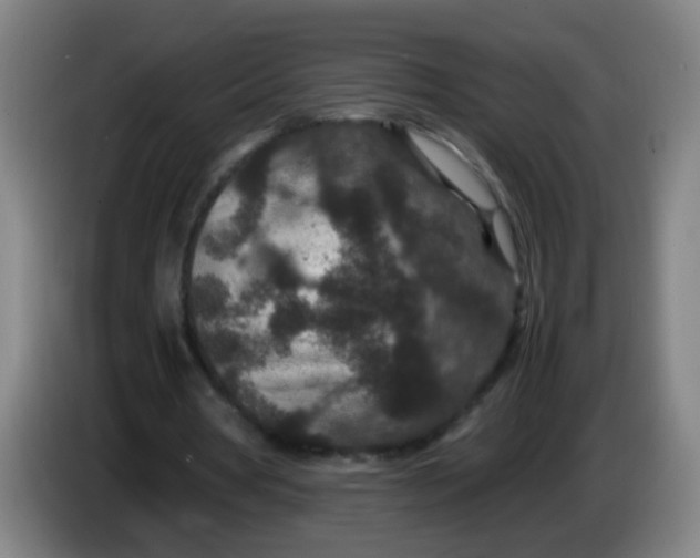 X0000085230386200703301730