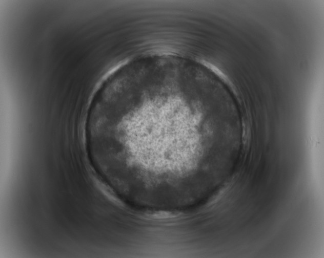 X0000085230390200703301730