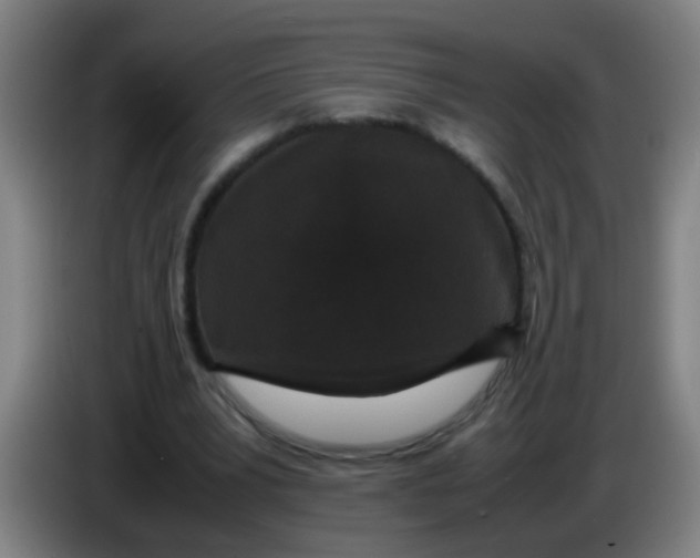 X0000085230391200703301730