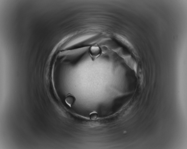 X0000085230392200703301730