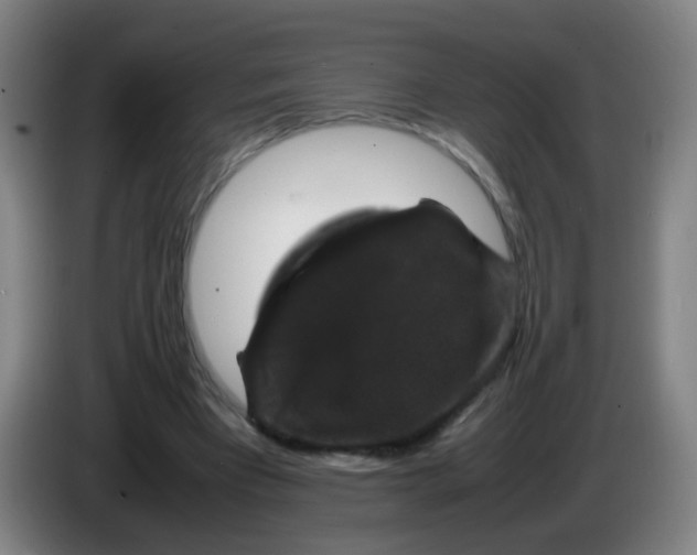 X0000085230393200703301730
