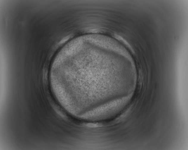 X0000085230394200703301730