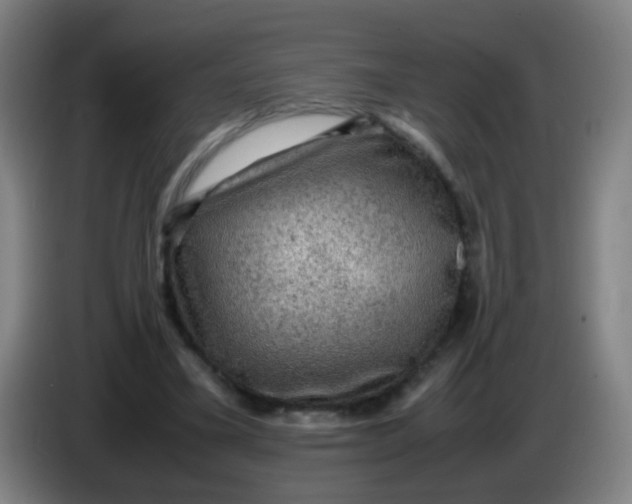 X0000085230395200703301730