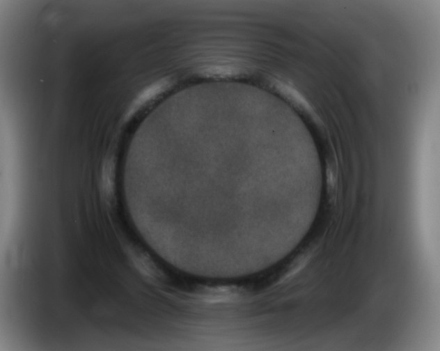 X0000085230396200703301730