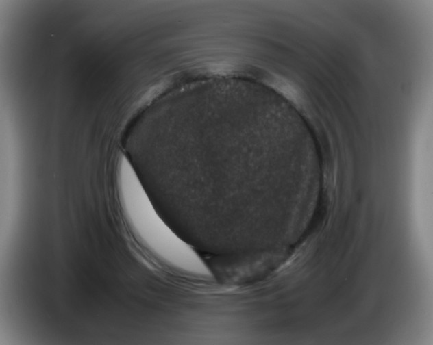 X0000085230397200703301730