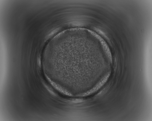 X0000085230398200703301730
