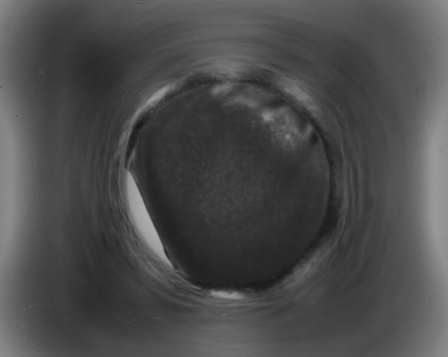 X0000085230399200703301730