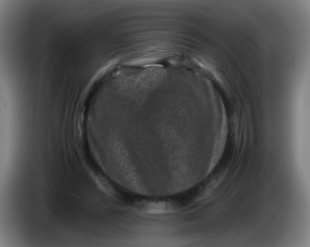 X0000085230400200703301730