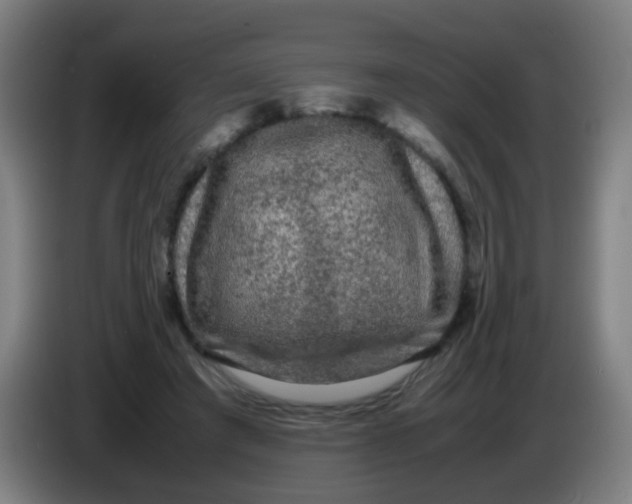 X0000085230401200703301730