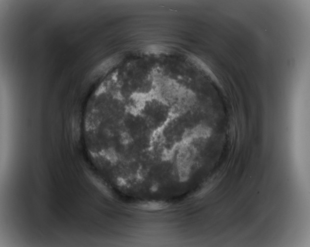X0000085230402200703301730