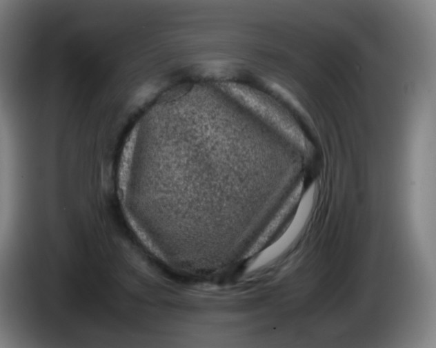 X0000085230403200703301730