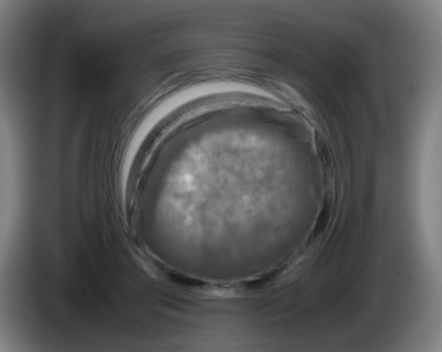 X0000085230405200703301730