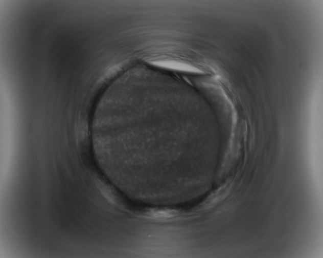X0000085230407200703301730