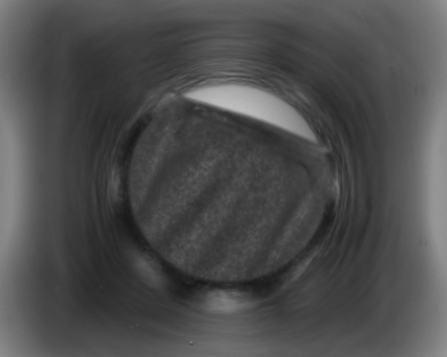 X0000085230408200703301730