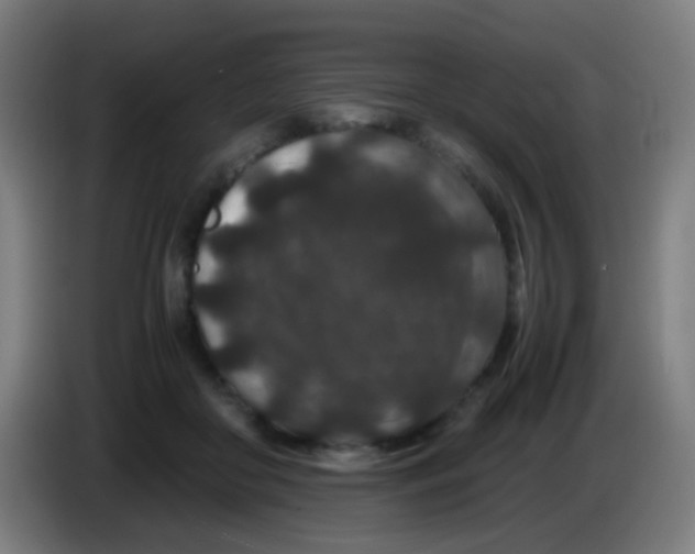X0000085230410200703301730
