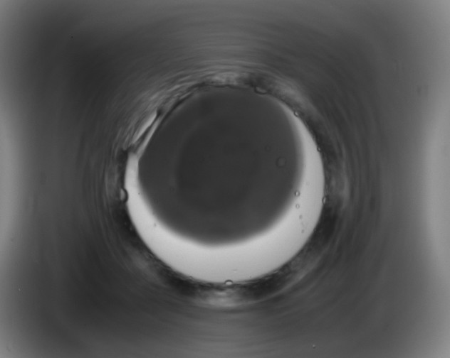 X0000085230411200703301730