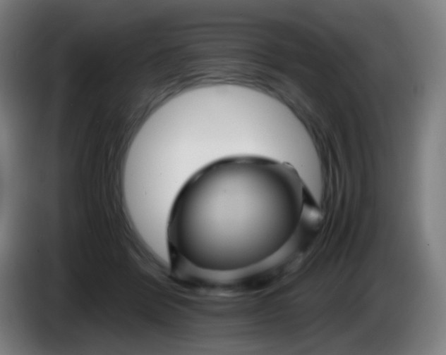 X0000085230412200703301730
