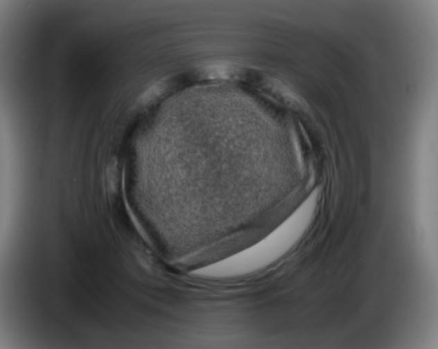 X0000085230413200703301730