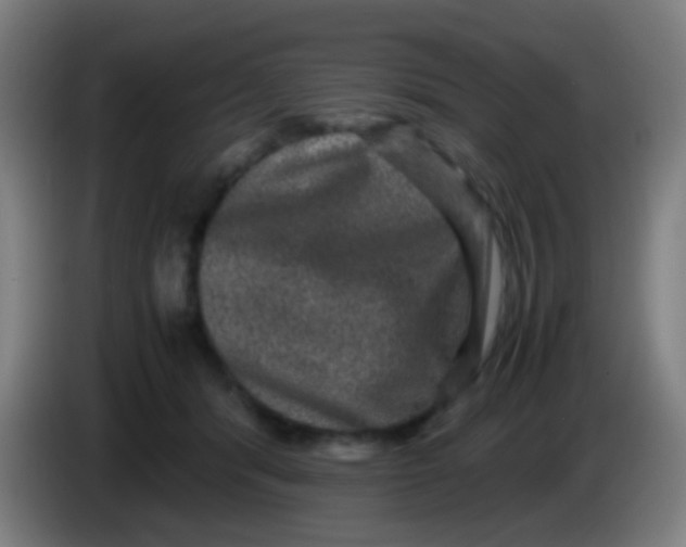 X0000085230416200703301730