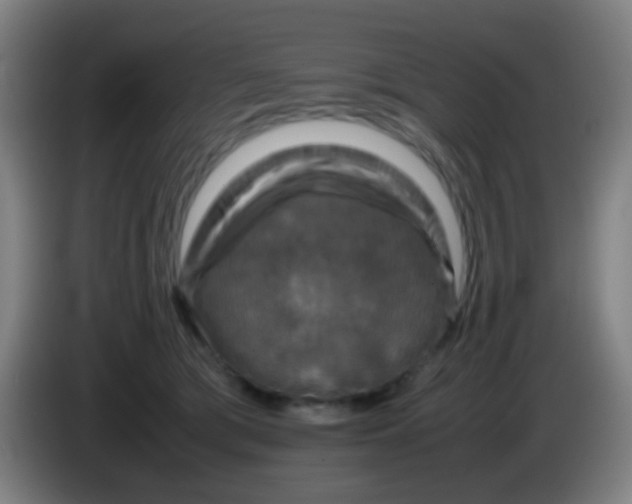 X0000085230417200703301730
