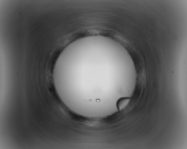 X0000085230418200703301730