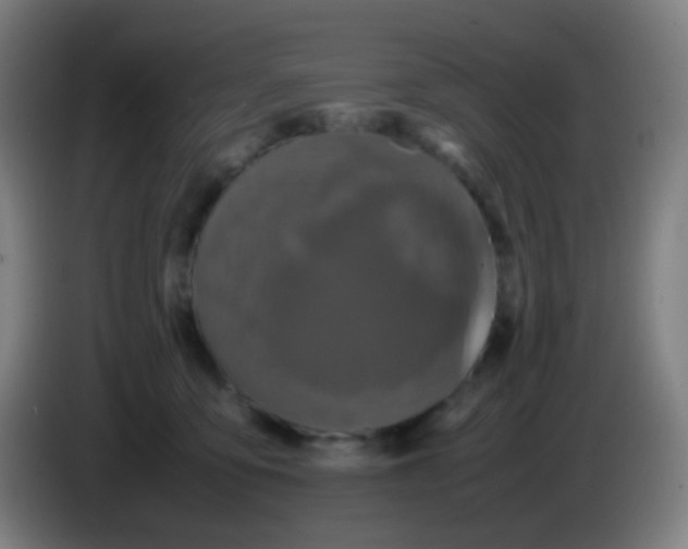 X0000085230419200703301730