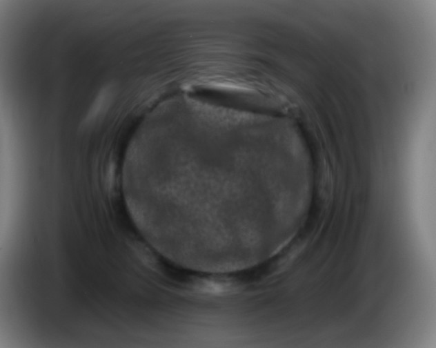 X0000085230420200703301730